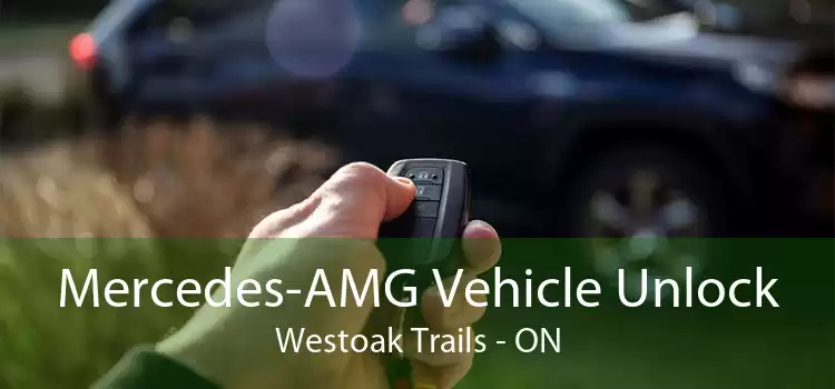 Mercedes-AMG Vehicle Unlock Westoak Trails - ON