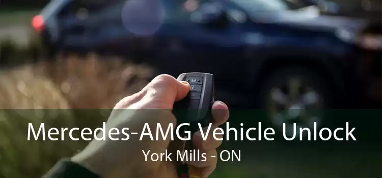 Mercedes-AMG Vehicle Unlock York Mills - ON