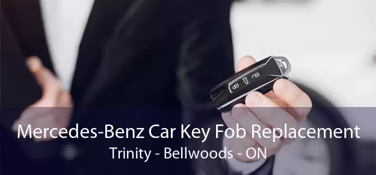 Mercedes-Benz Car Key Fob Replacement Trinity Bellwoods - ON