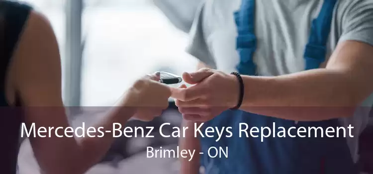 Mercedes-Benz Car Keys Replacement Brimley - ON
