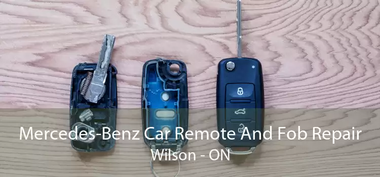 Mercedes-Benz Car Remote And Fob Repair Wilson - ON