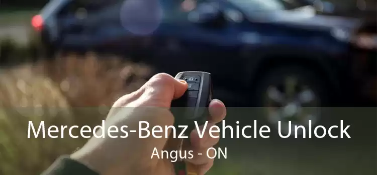 Mercedes-Benz Vehicle Unlock Angus - ON