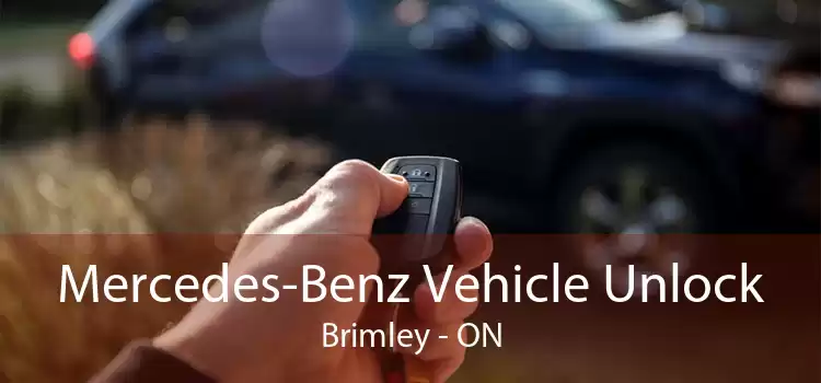 Mercedes-Benz Vehicle Unlock Brimley - ON