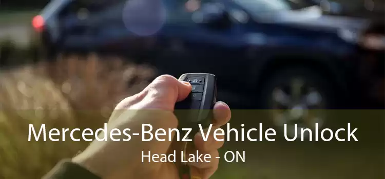Mercedes-Benz Vehicle Unlock Head Lake - ON