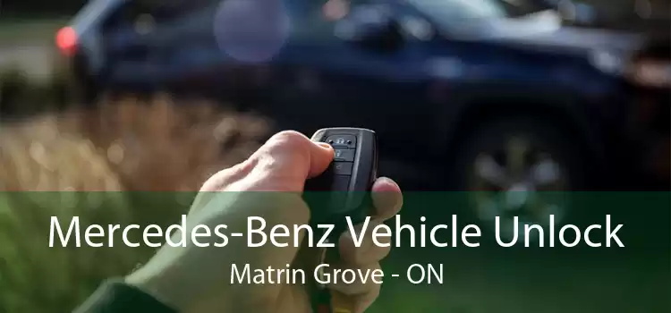 Mercedes-Benz Vehicle Unlock Matrin Grove - ON