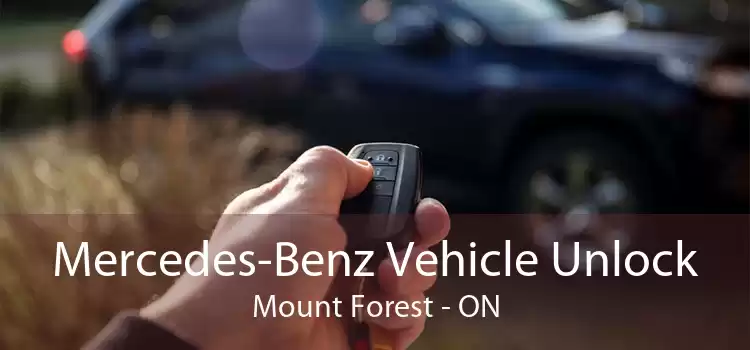 Mercedes-Benz Vehicle Unlock Mount Forest - ON
