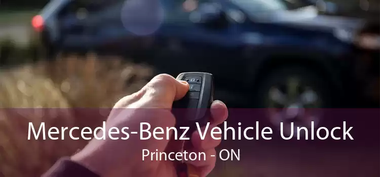 Mercedes-Benz Vehicle Unlock Princeton - ON