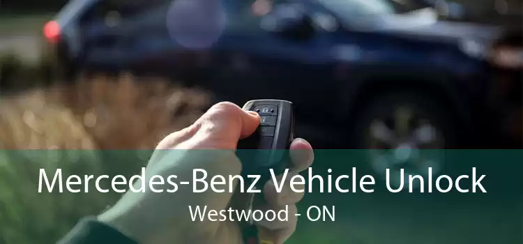 Mercedes-Benz Vehicle Unlock Westwood - ON