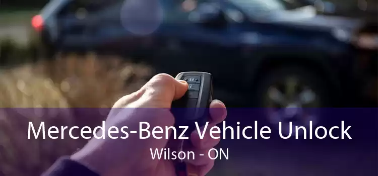 Mercedes-Benz Vehicle Unlock Wilson - ON