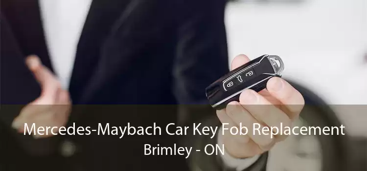 Mercedes-Maybach Car Key Fob Replacement Brimley - ON