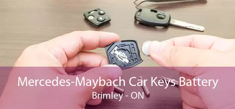 Mercedes-Maybach Car Keys Battery Brimley - ON