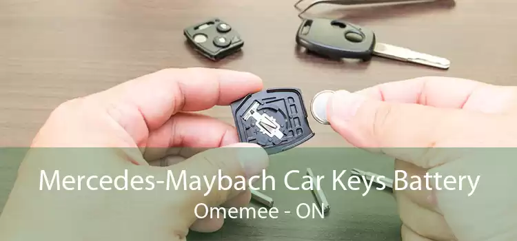 Mercedes-Maybach Car Keys Battery Omemee - ON