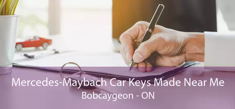 Mercedes-Maybach Car Keys Made Near Me Bobcaygeon - ON