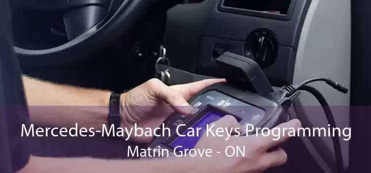 Mercedes-Maybach Car Keys Programming Matrin Grove - ON