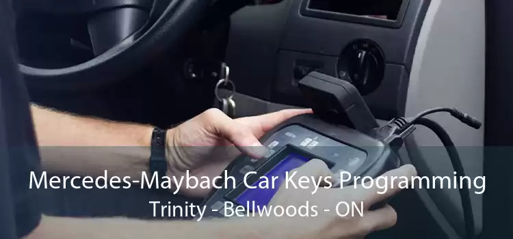 Mercedes-Maybach Car Keys Programming Trinity Bellwoods - ON