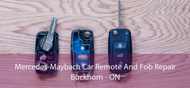 Mercedes-Maybach Car Remote And Fob Repair Buckhorn - ON
