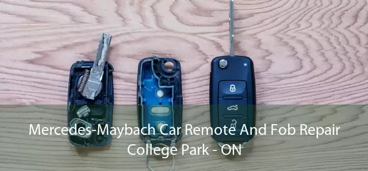 Mercedes-Maybach Car Remote And Fob Repair College Park - ON