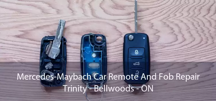 Mercedes-Maybach Car Remote And Fob Repair Trinity - Bellwoods - ON