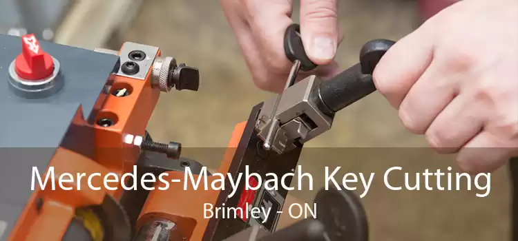 Mercedes-Maybach Key Cutting Brimley - ON