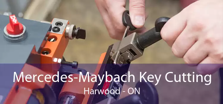 Mercedes-Maybach Key Cutting Harwood - ON