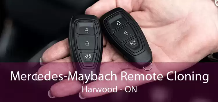 Mercedes-Maybach Remote Cloning Harwood - ON