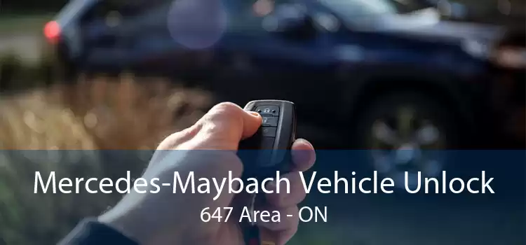 Mercedes-Maybach Vehicle Unlock 647 Area - ON