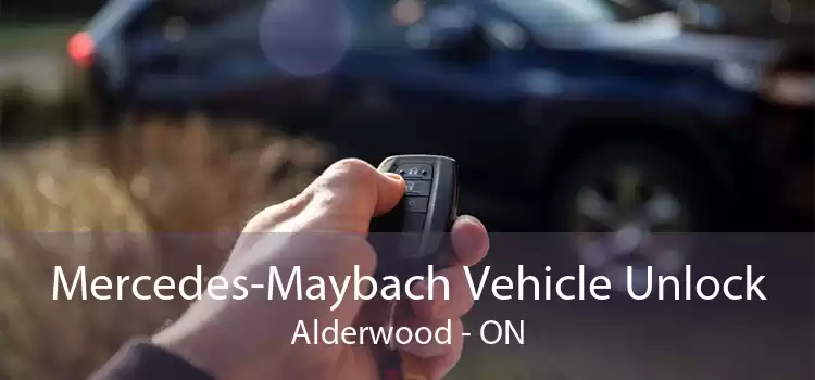 Mercedes-Maybach Vehicle Unlock Alderwood - ON