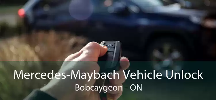 Mercedes-Maybach Vehicle Unlock Bobcaygeon - ON