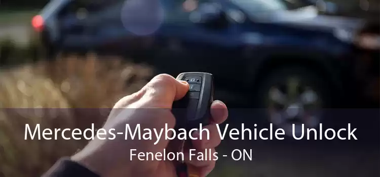 Mercedes-Maybach Vehicle Unlock Fenelon Falls - ON