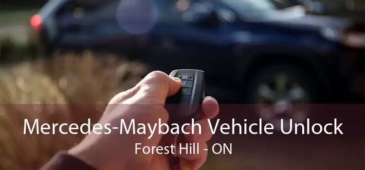 Mercedes-Maybach Vehicle Unlock Forest Hill - ON