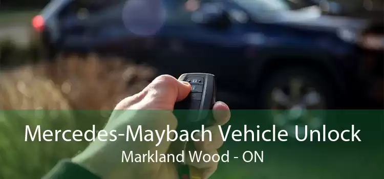 Mercedes-Maybach Vehicle Unlock Markland Wood - ON