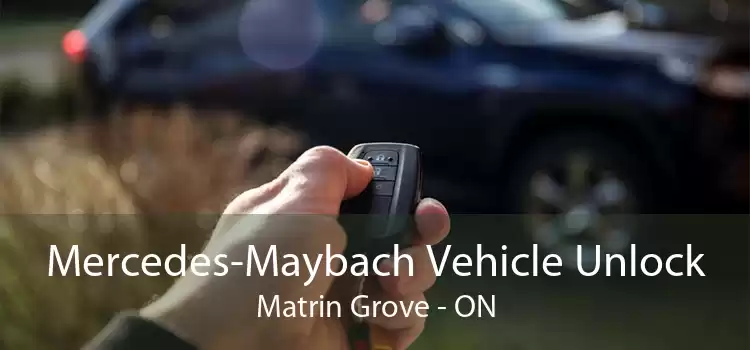 Mercedes-Maybach Vehicle Unlock Matrin Grove - ON