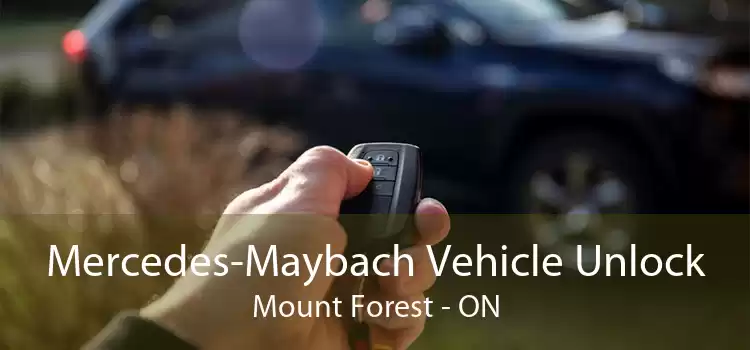 Mercedes-Maybach Vehicle Unlock Mount Forest - ON