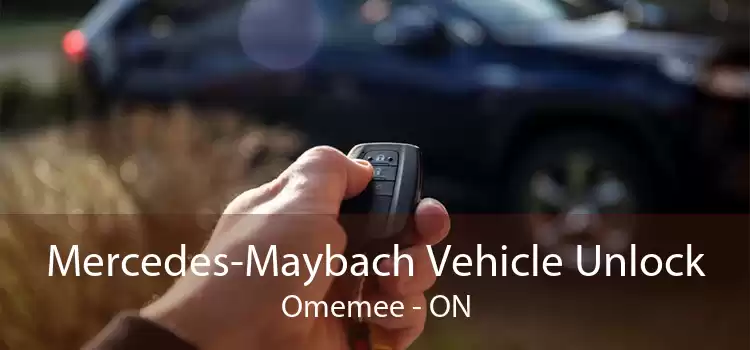 Mercedes-Maybach Vehicle Unlock Omemee - ON
