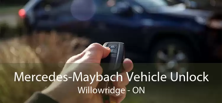 Mercedes-Maybach Vehicle Unlock Willowridge - ON
