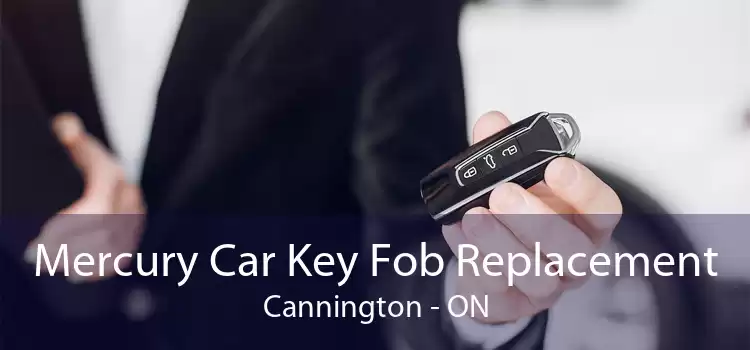 Mercury Car Key Fob Replacement Cannington - ON