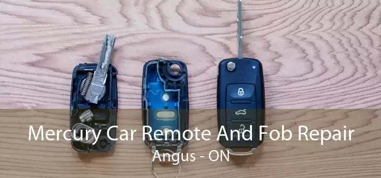 Mercury Car Remote And Fob Repair Angus - ON