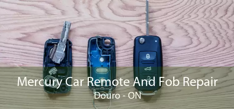 Mercury Car Remote And Fob Repair Douro - ON