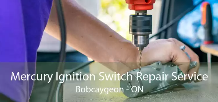 Mercury Ignition Switch Repair Service Bobcaygeon - ON