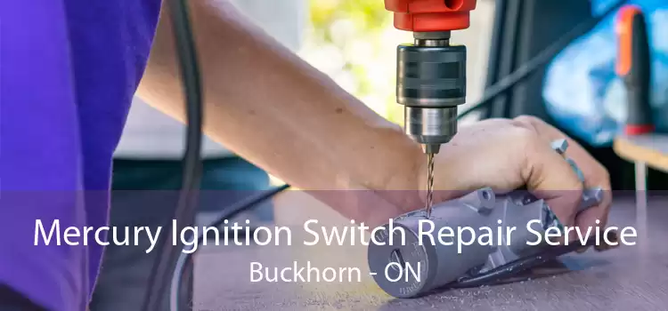 Mercury Ignition Switch Repair Service Buckhorn - ON