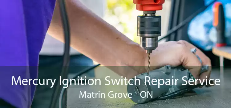 Mercury Ignition Switch Repair Service Matrin Grove - ON