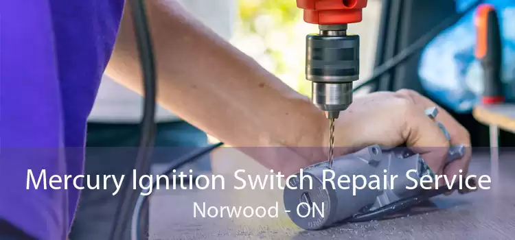 Mercury Ignition Switch Repair Service Norwood - ON