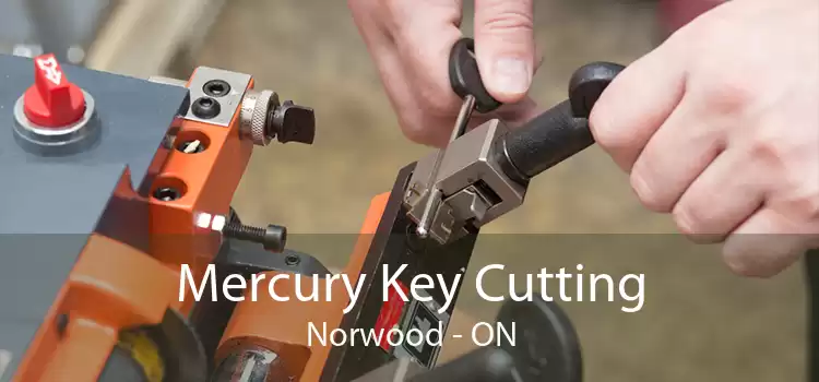 Mercury Key Cutting Norwood - ON