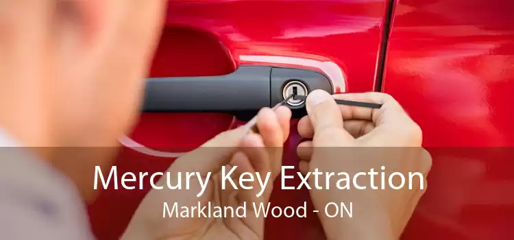 Mercury Key Extraction Markland Wood - ON