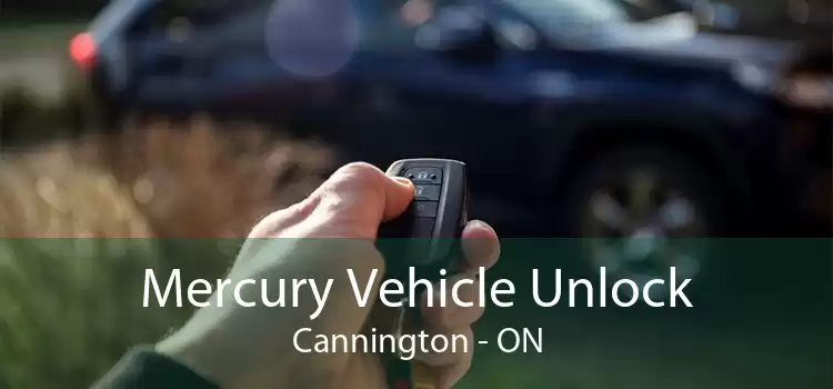 Mercury Vehicle Unlock Cannington - ON