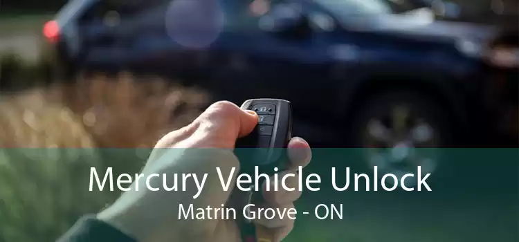 Mercury Vehicle Unlock Matrin Grove - ON