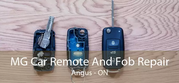 MG Car Remote And Fob Repair Angus - ON
