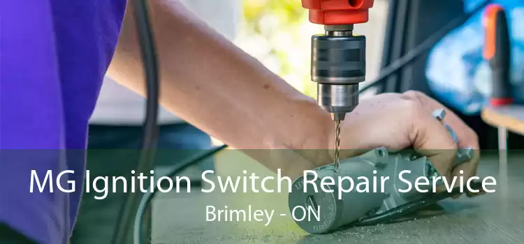 MG Ignition Switch Repair Service Brimley - ON