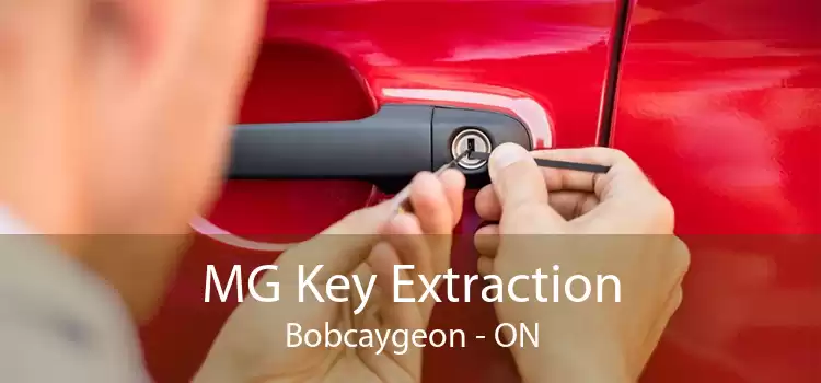 MG Key Extraction Bobcaygeon - ON