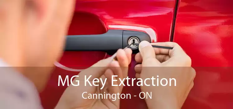MG Key Extraction Cannington - ON